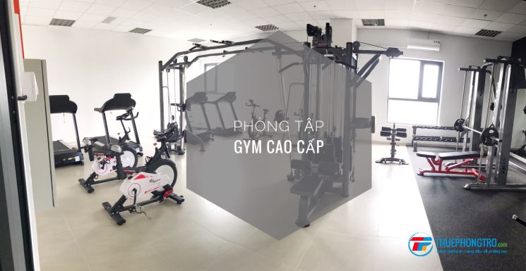 Căn hộ officetell Thủ Thiêm Dragon Cho thuê  Thạnh Mỹ Lợi, Quận 2, 5tr