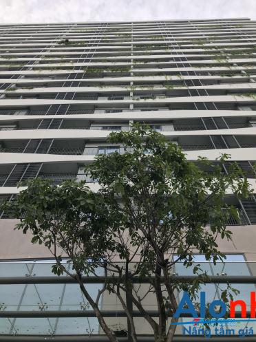 Cho thuê căn hộ chung cư mới 2 phòng ngủ rất đẹp