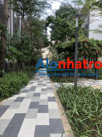 Nhà phố biệt thự khu compound Palm Residence cho thuê giá ưu đãi mùa dịch - Xem nhà: 0764141523