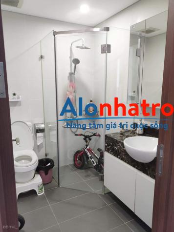 Cho thuê CH Ngoại Giao Đoàn N01-T1, DT 135m2 full NT nhập khẩu