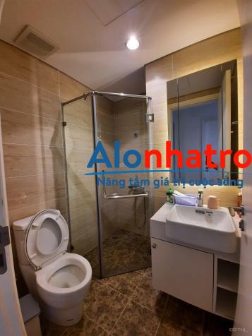 Cho thuê căn hộ tòa C2 Vinhomes D'Capitale: loại 2PN đầy đủ đồ