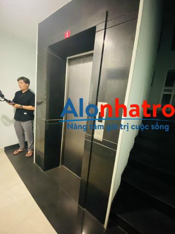 Cho Thuê Nhà Ngang 8m Hẻm Xe Tải Khu K300, Tân Bình