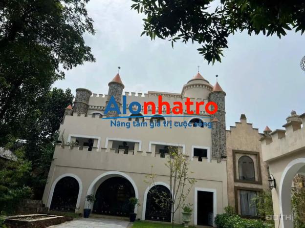 BÁN LÂU ĐÀI CHÂU ÂU GIỮA LÒNG THÀNH PHỐ VỆ TINH HOÀ LẠC