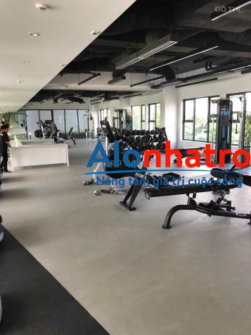 Cần cho thuê nhanh căn hộ Hưng Phúc, nhà đẹp, giá rẻ