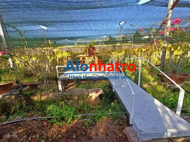 Cho thuê nhà vườn 17 công mặt tiền ngang 70m đường nguyễn văn cừ cần thơ, gần đại học nam cần thơ