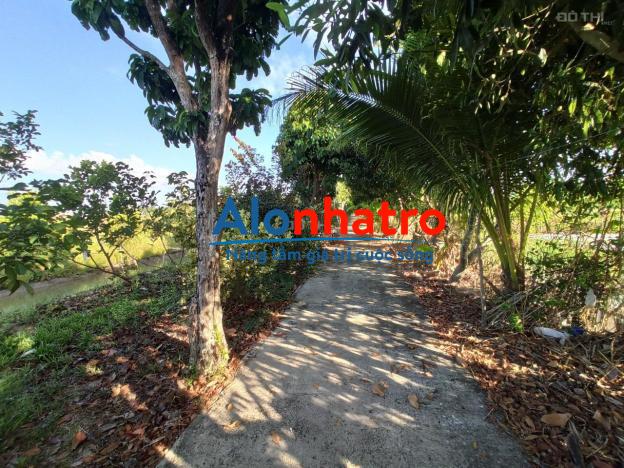 Cho thuê nhà vườn 17 công mặt tiền ngang 70m đường nguyễn văn cừ cần thơ, gần đại học nam cần thơ