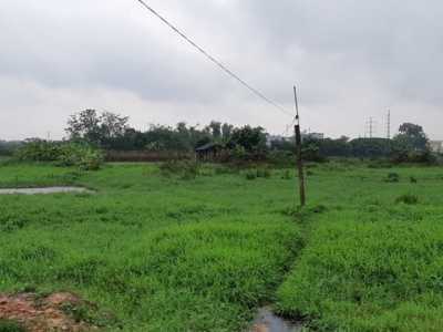 Quy Trình Chuyển Đổi Đất Nông Nghiệp Sang Đất Thổ Cư