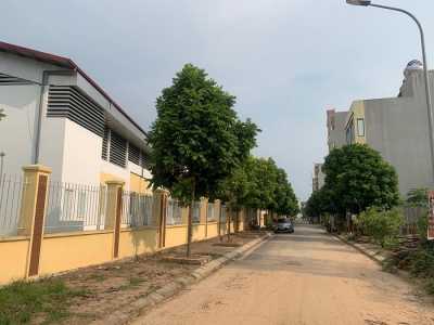 Đất Dịch Vụ Là Gì Có Rủi Ro Khi Đầu Tư Không