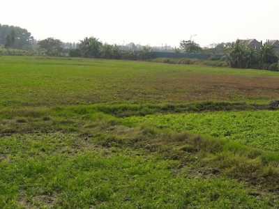 Những Điều Nên Biết Về Quyền Sử Dụng Đất Nông Nghiệp