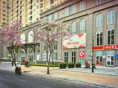 Khu dân cư Trung Sơn-Thông tin tổng quan