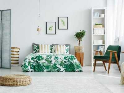 Bật Mí Bí Mật Cách Khử Mùi Ẩm Mốc Trong Phòng Kín