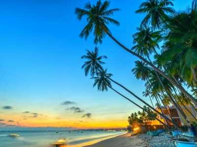 Kinh Nghiệm Du Lịch Phan Thiết Tự Túc Từ A Tới Z