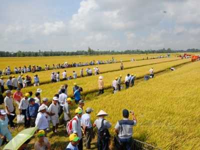 Ý Nghĩa Của Cuộc Cải Cách Ruộng Dất Ở Việt Nam