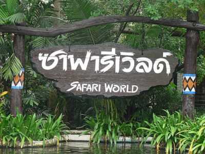 Kinh Nghiệm Du Lịch Công Viên Safari World Bangkok