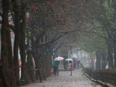 Nồm là gì? Làm Thế Nào Để Xây Nhà Chống Nồm?