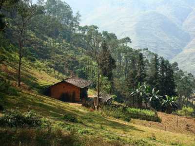 Giải Đáp Xây Nhà Trên Đất Nông Nghiệp Bị Phạt Bao Nhiêu