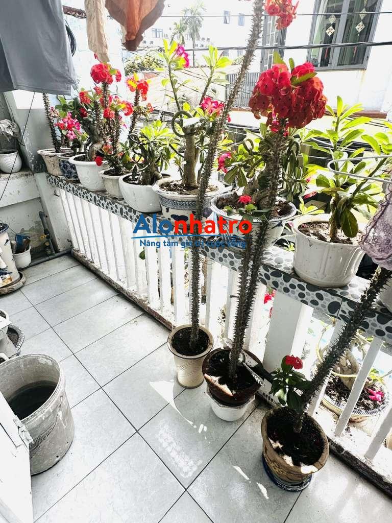 Chính chủ cho thuê nhà nguyên căn có nội thất thuộc KP3, P. Phước Hòa, Tam Kỳ, Quảng Nam