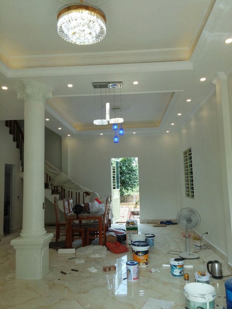 Cho thuê vila trên diện tích đất 600m