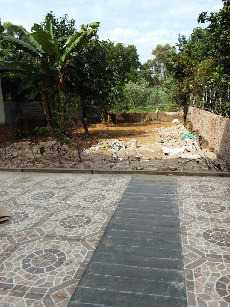 Cho thuê vila trên diện tích đất 600m